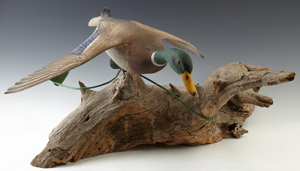 Carved Wood Mallard Duck In Flight, 20th c., presented (1 of 2)