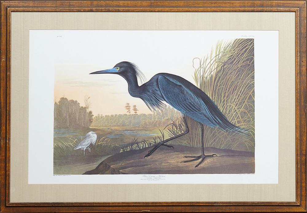 John James Audubon (1785-1851), "Blue Crane or Heron," (1 of 2)