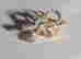 item-85545636=5