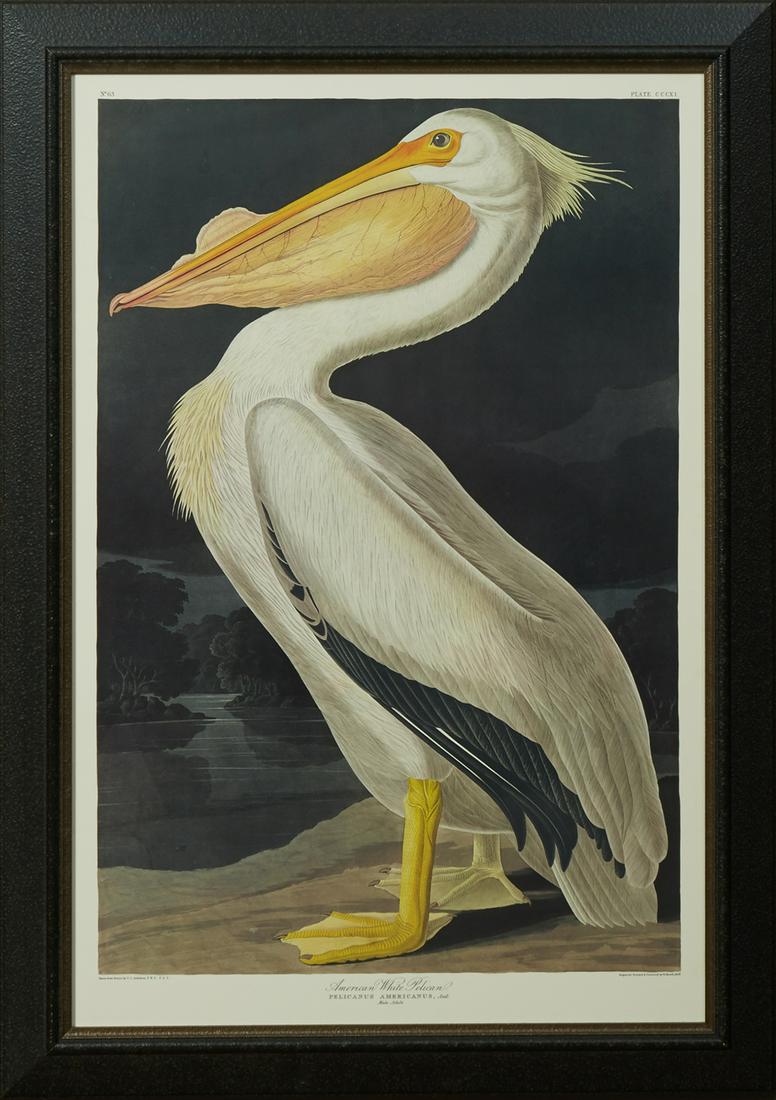 John James Audubon (1785-1851), "American White (1 of 2)