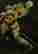 item-85548153=3