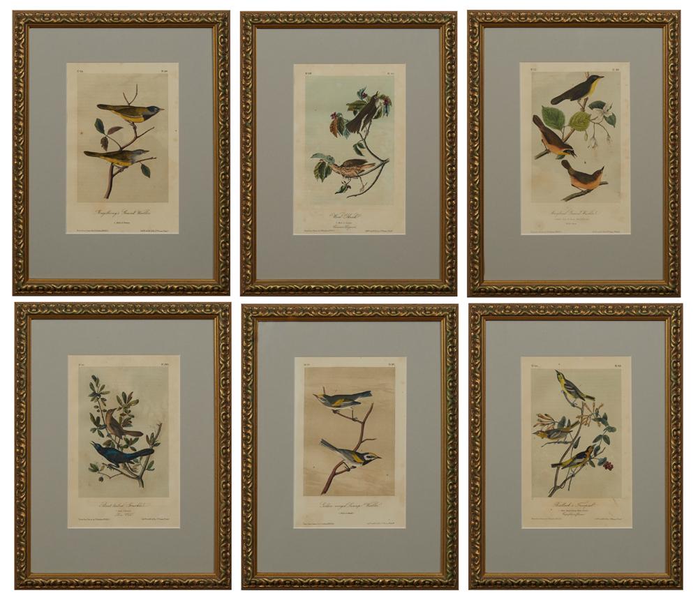 John James Audubon (1785-1851, Hatian/American), Six (1 of 13)