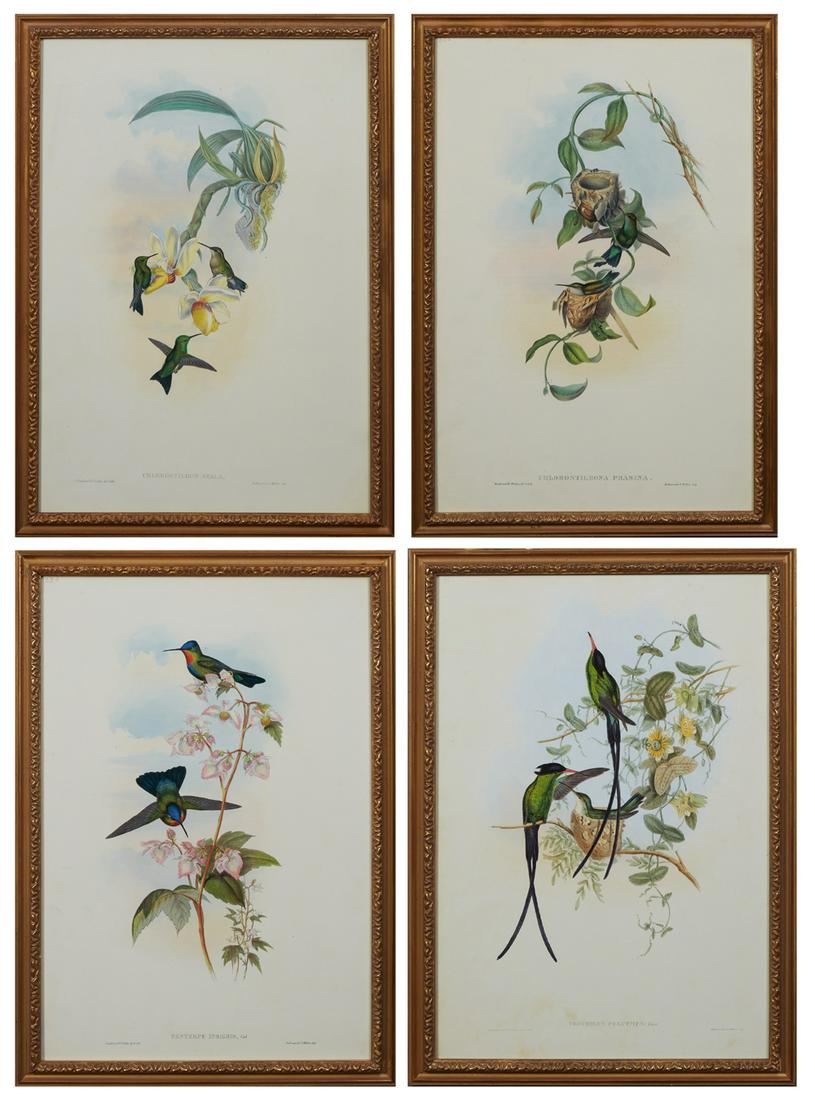 John Gould, "Chlorostilbona Prasina,"Chlorostilbon (1 of 9)