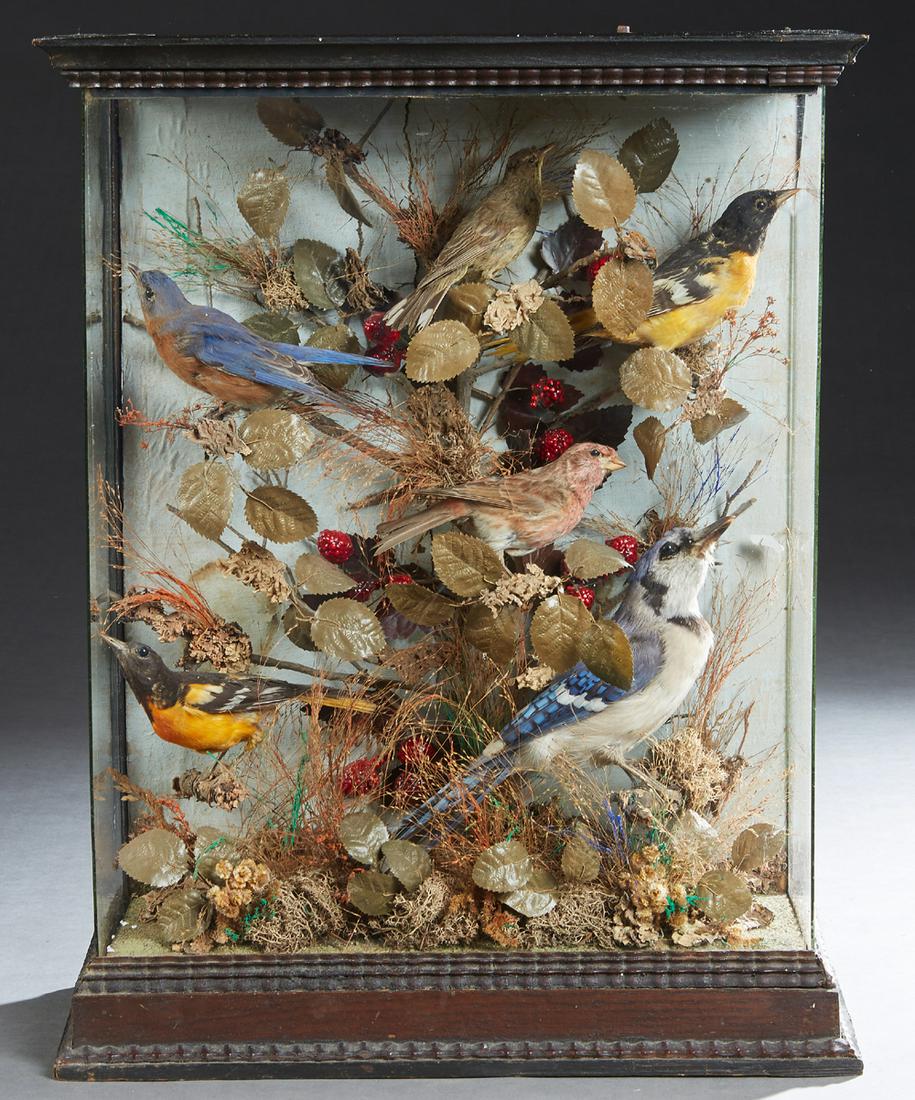 Victorian Taxidermied Bird Ebonized Wood Display Box, (1 of 1)
