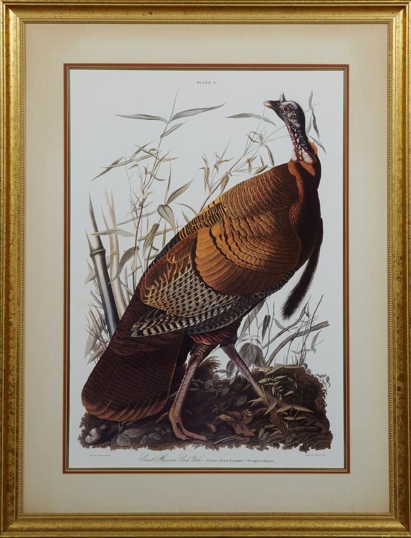 John James Audubon (1785-1851, Haitian/American), "Wild (1 of 2)
