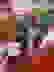 item-101786197=2