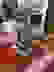 item-101786197=7