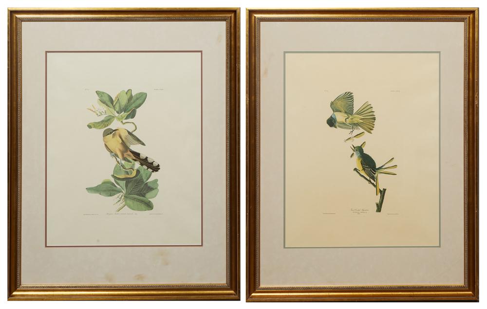 John James Audubon (1785-1851), "Mangrove Cuckoo," No: John James Audubon (1785-1851), "Mangrove Cuckoo," No 34, Plate 169; and "Great Crested Flycatcher," No. 26, Plate 129, Amsterdam edition, presented in matching gilt and gesso frames with relief liner