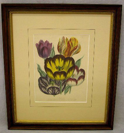Tulips, 19th c., colored print, framed, H.- 10 1/2: Tulips, 19th c., colored print, framed, H.- 10 1/2 in., W.- 8 in.