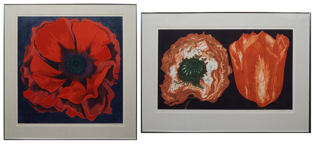 Lowell Nesbitt (American), "Tulip and Poppy," 20th c., (1 of 9)