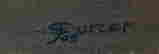 item-115330376=3