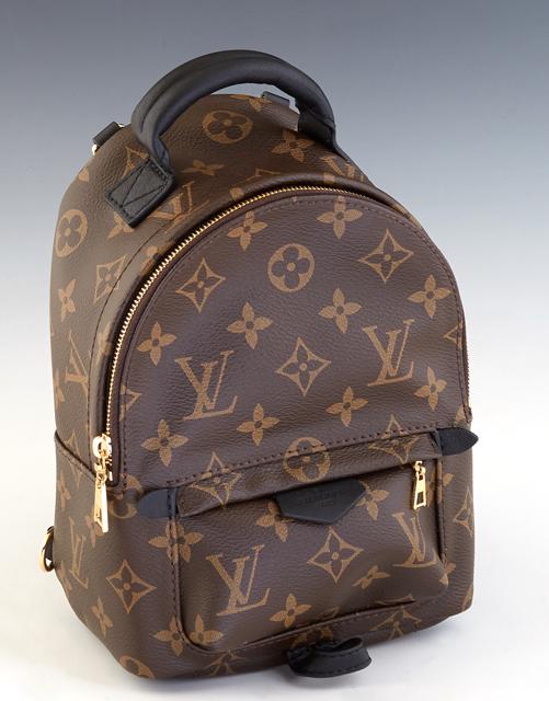 Louis Vuitton Palm Springs Mini Backpack, in brown (1 of 3)