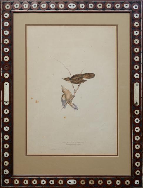 John & Elisabeth Gould, "Brake Locustelle," c.: John & Elisabeth Gould, "Brake Locustelle," c. 1832-1837, plate 103, colored print from "Birds of Europe," presented in a folk art bone inlaid wood frame, Print- H.- 19 in., W.- 13 in., Frame- H.- 28 