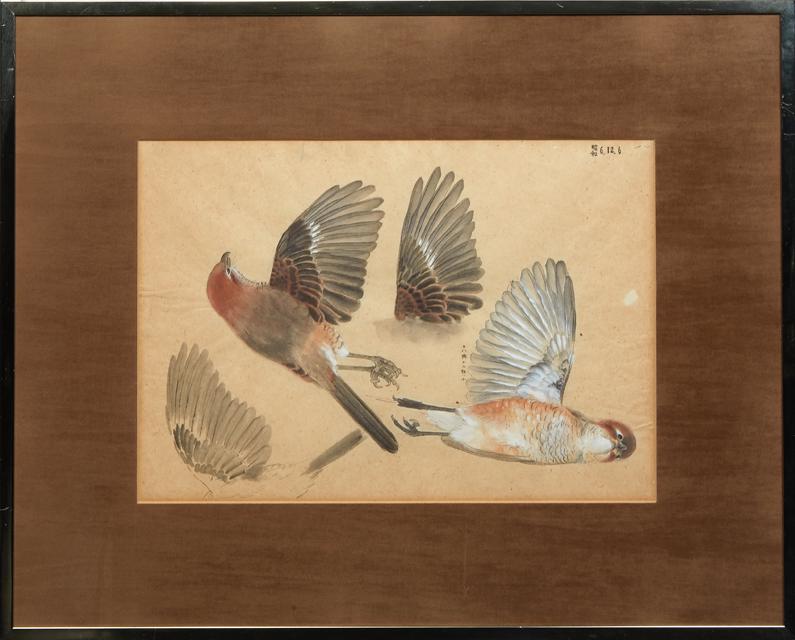 Chinese School, "Study of a Finch," early 20th c., (1 of 4)