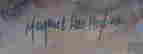 item-119739929=3