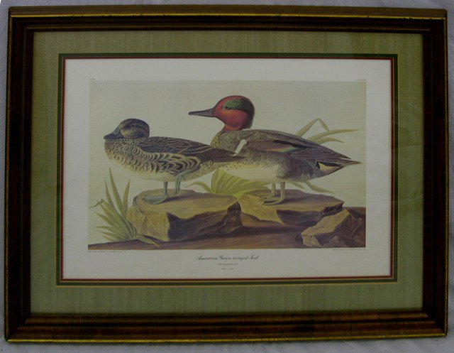 John James Audubon (1785-1851), "American Green Wi: John James Audubon (1785-1851), "American Green Winged Teal," 20th c., Plate 228, No. 48, framed, H.- 20 3/4 in., W.- 28 1/4 in.
