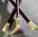 item-121076113=2