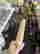item-121076113=4