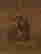 item-121076306=2