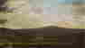 item-123822972=2