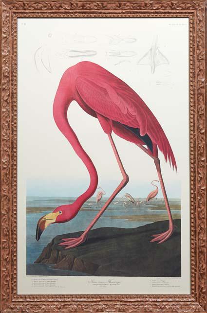 John James Audubon (1785-1851, Haitian/American), "American Flamingo," No. 87, Plate 431, Princeton (1 of 3)
