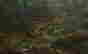 item-131507909=2