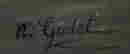 item-131507911=3