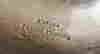 item-131507921=4