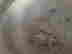 item-131517694=4