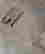 item-131517694=9