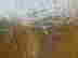 item-131517830=11