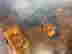 item-131517830=14