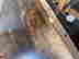 item-131517830=6