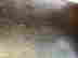 item-131517830=8