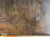 item-131517830=9