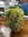item-131517926=16