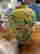 item-131517926=4