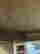 item-131517941=7
