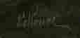 item-131517959=3