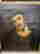 item-131517961=8