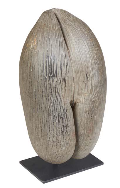 Rare Coco De Mer Seychelles Double Nut Seed Piece, c.1900, on a custom made steel stand, Nut- H.- 14 (1 of 11)