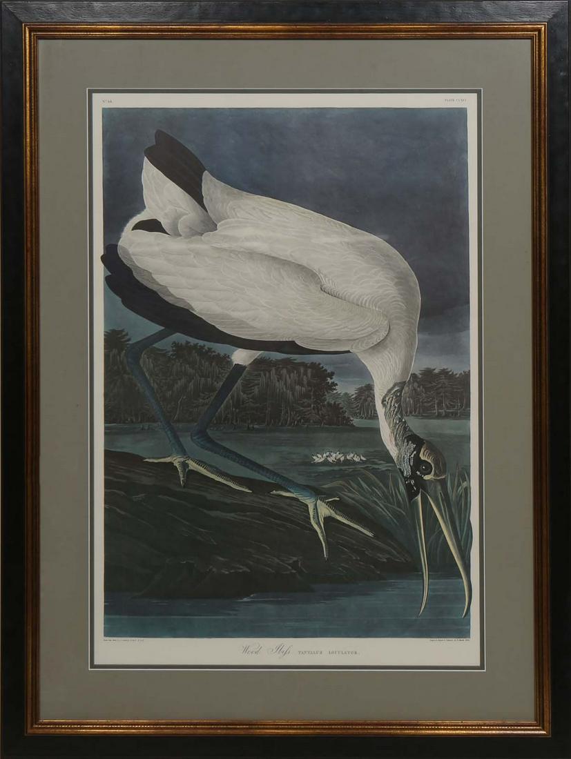 John James Audubon (American, 1785-1851), "Wood Ibis," No. 44, Plate 216, Amsterdam Edition, (1 of 3)