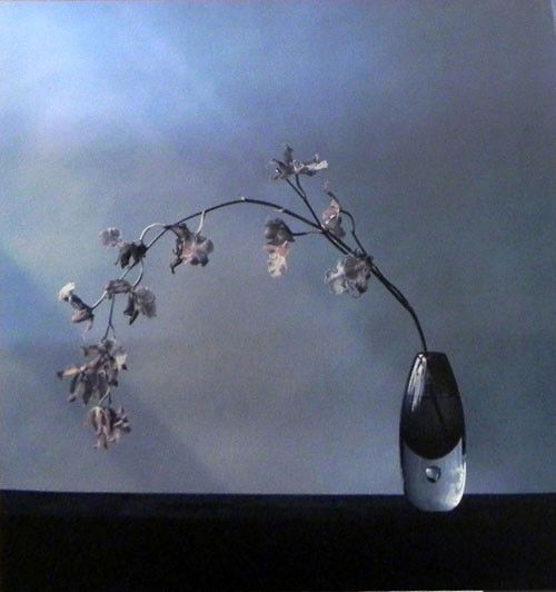 Robert Mapplethorpe, "Flowers," 1983, offset phot: Robert Mapplethorpe, "Flowers," 1983, offset photograph, ed/2500, framed