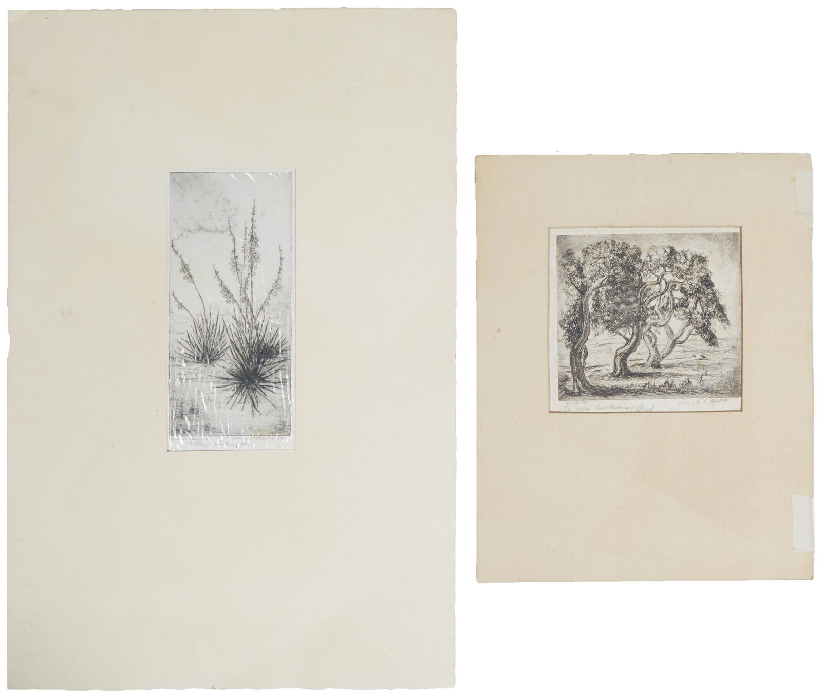 Pair of Etchings, Lloyd Lozes Goff (New Mexico/New York, 1908-1982), "Long Island Apple Trees," (1 of 6)