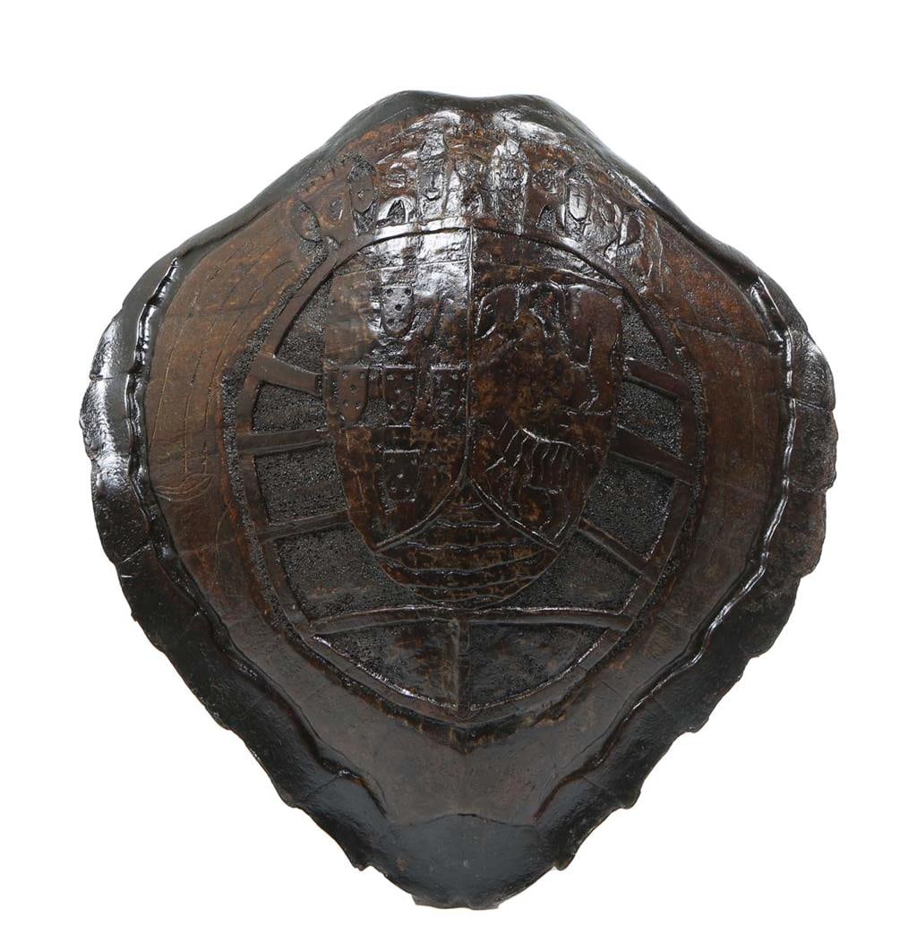 Large Carved Sea Turtle Shell (1 of 3)