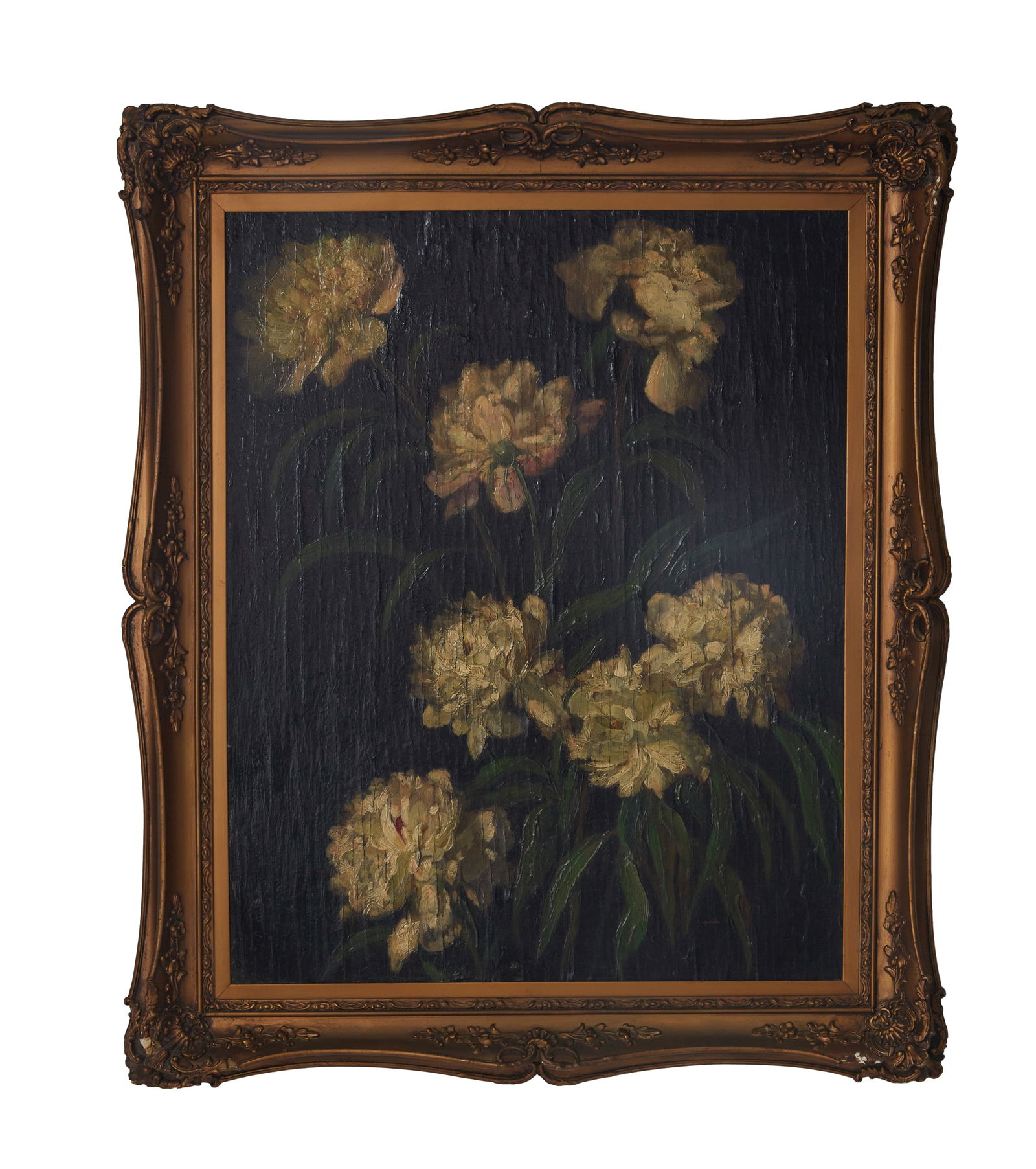 Continental School, "White Peonies," 20th C., H.- 26 3/4 in., W.- 21 1/2 in., Framed- H.- 33 1/2: Continental School, "White Peonies," 20th C., oil on wood panel, unsigned, presented in a gesso and giltwood frame, H.- 26 3/4 in., W.- 21 1/2 in., Framed- H.- 33 1/2 in., W.- 28 in.