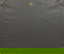 item-171922788=4