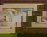 item-178579734=1