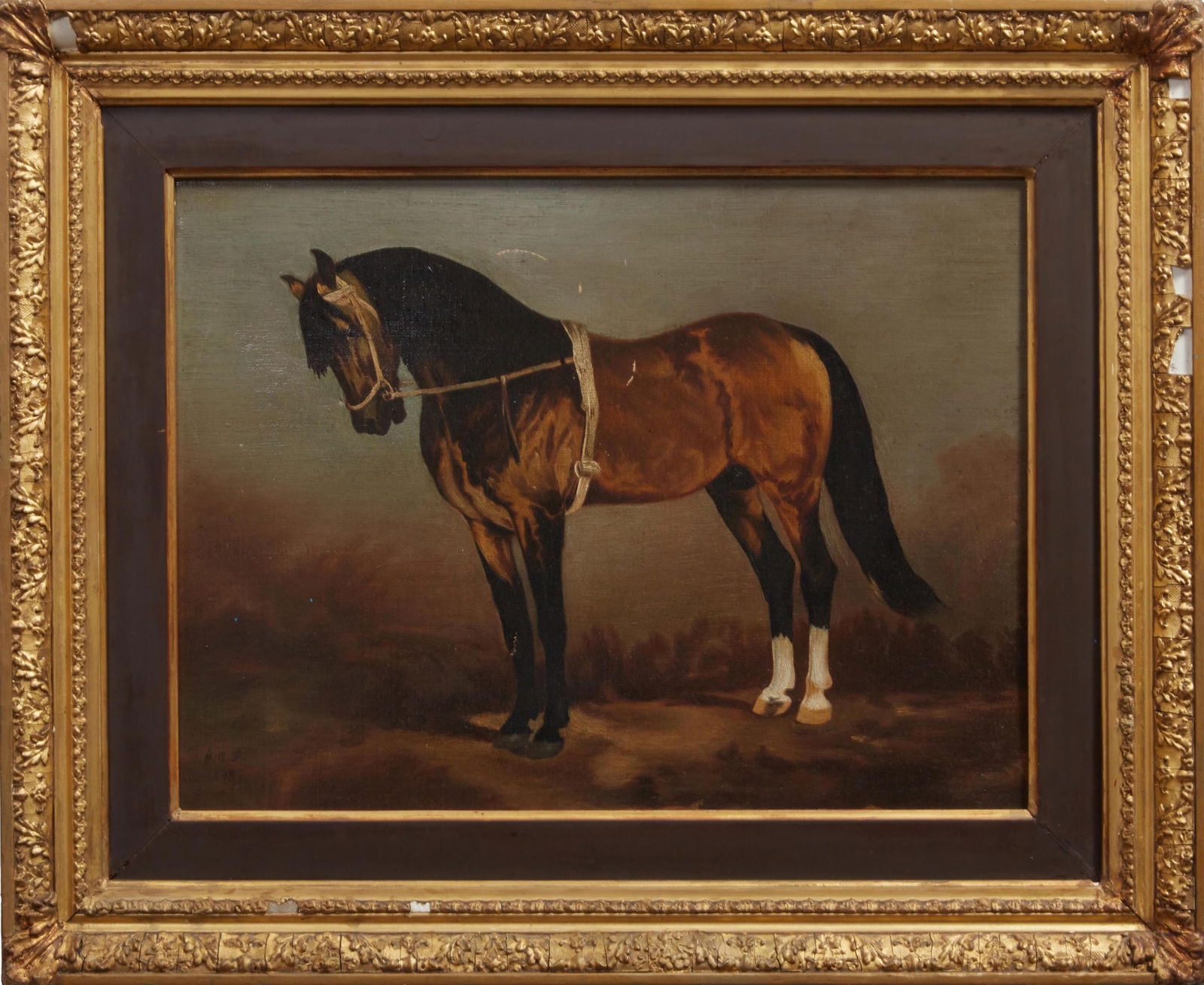 British School (19th/20th Century), "Arabian Thoroughbred," 1899, H.- 12 in., W.- 16 in., Framed H.- (1 of 4)