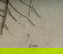 item-189414151=12